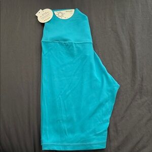 Aerie Teal Athletic Shorts